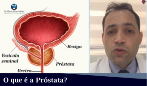 O que é a Próstata
